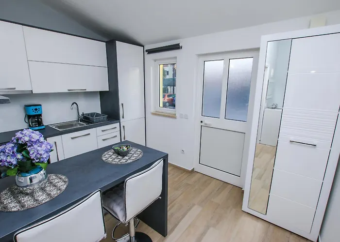 Daniela Πόρετς